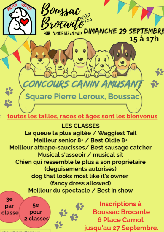 Concours Canin Amusant