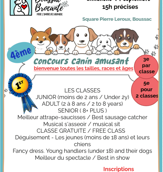 Concours Canin Amusant